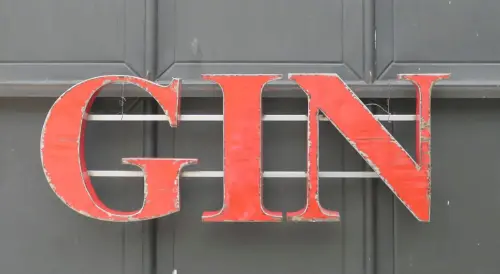 Product image of the product “Capital Letters - GIN on metal frame Height about 50cm. open on the back side. red color letter. ”